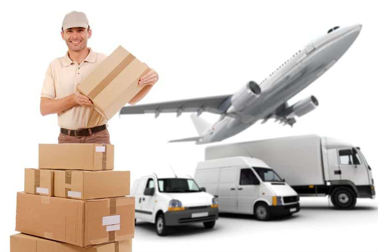 International & Domastic Courier Services In Thiruvanmiyur