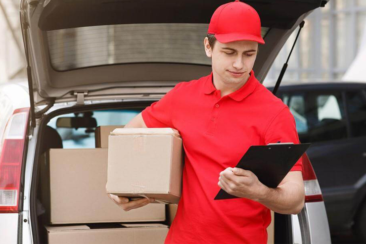 International & Domastic Courier Services In West Mambalam